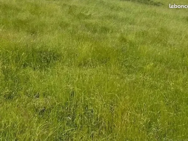 Terrain 598 m² Longeves
