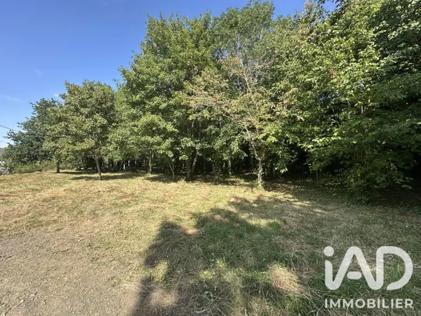 Terrain 3917 m²