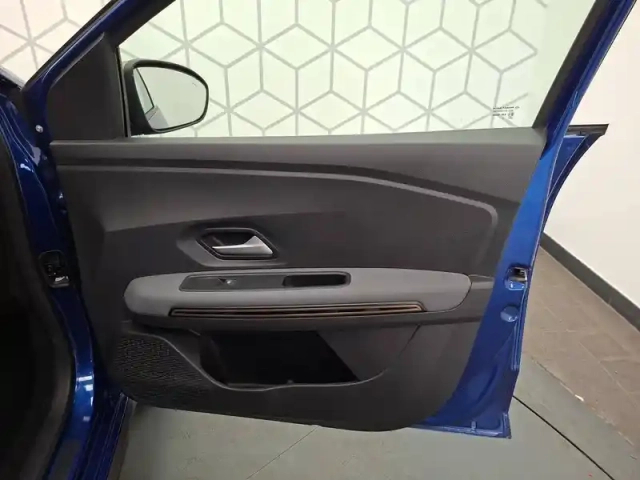 Dacia Sandero eco-g 100 — photo 22