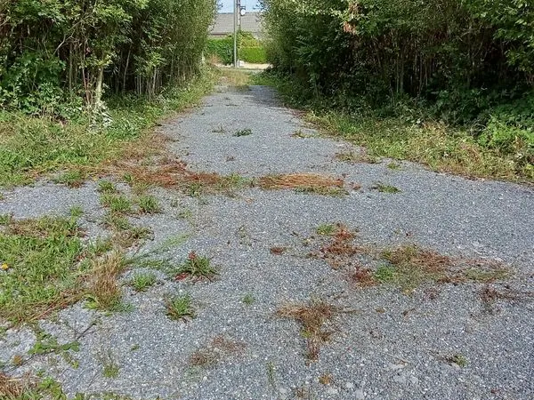 Terrain plat 6600m2