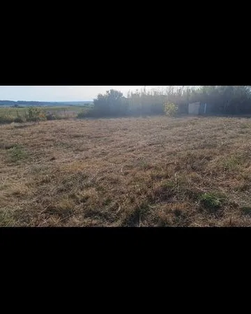 Terrain de loisirs 3 500 m² clôturé - Vue panoramique - Saint-Pargoire