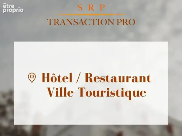 Commerce à vendre à L'isle-Sur-La-Sorgue (84800)