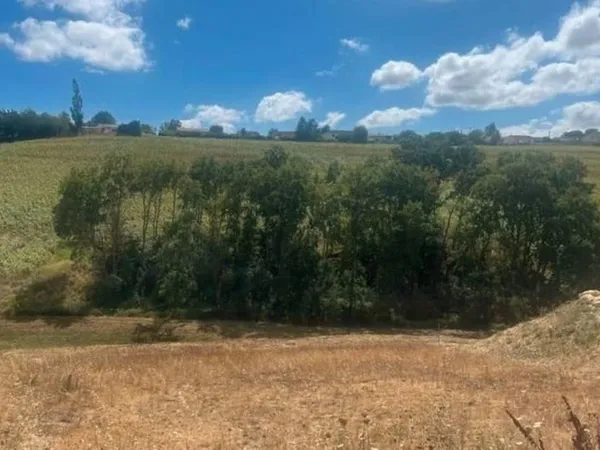 Terrain 878 m²