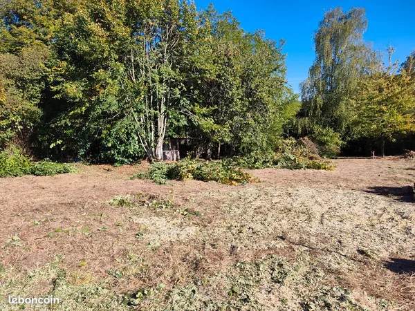 Terrain Viabilisé Pommeuse 77515 de 1256 M²