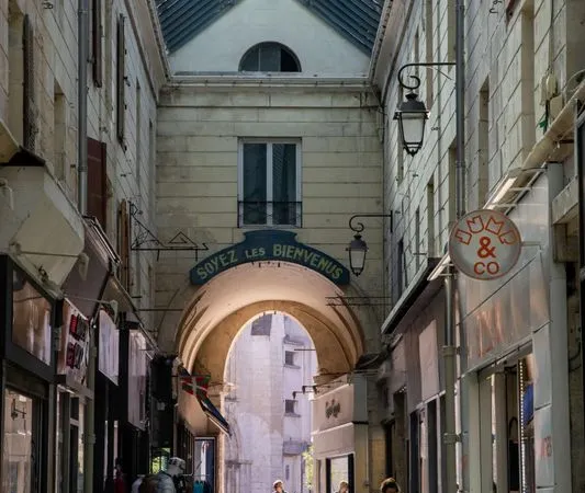 Bel Immeuble en Pierre, 350 m2, situé passage du commerce à Niort