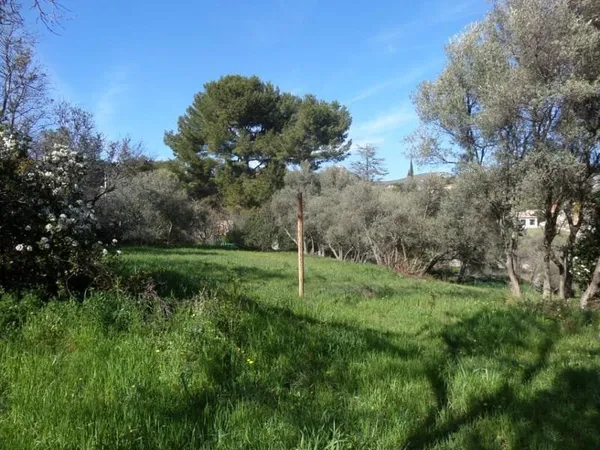 LA TREILLE 11EME