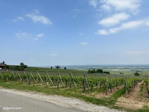 Terrain 1 700 m² Husseren Les Chateaux