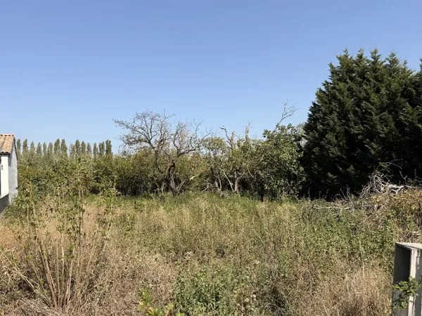 Terrain 974 m²