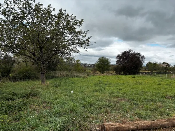 Terrain constructible