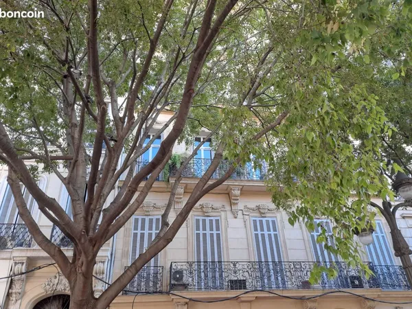 Appartement t3