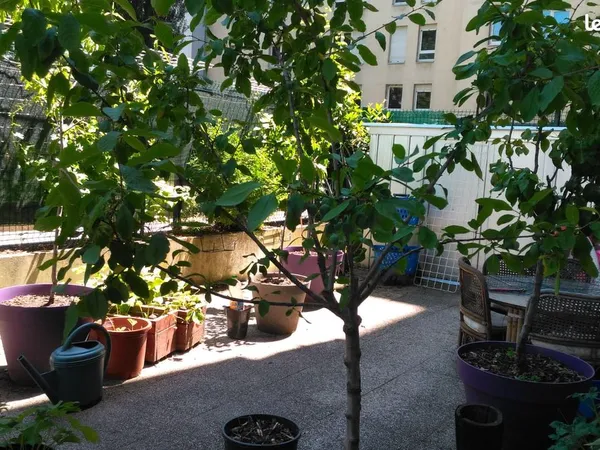 Chambre de 12 m2 All Inclusif - Debourg MB T1 T6 T10