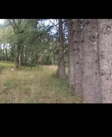 Terrain avec bungalow
