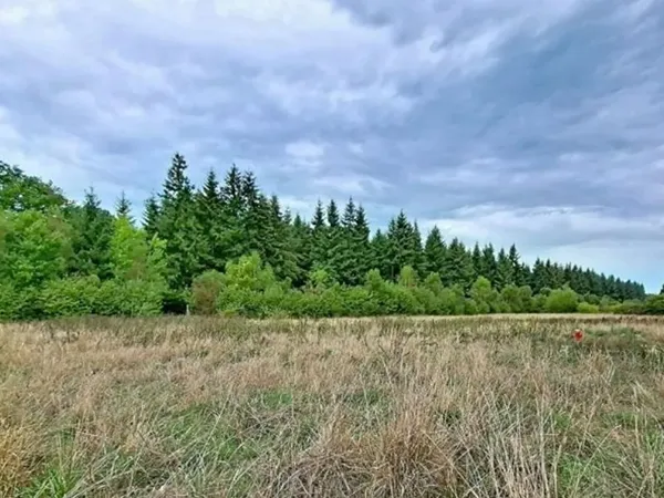 Terrain 1604 m²