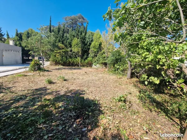 Terrain à bâtir