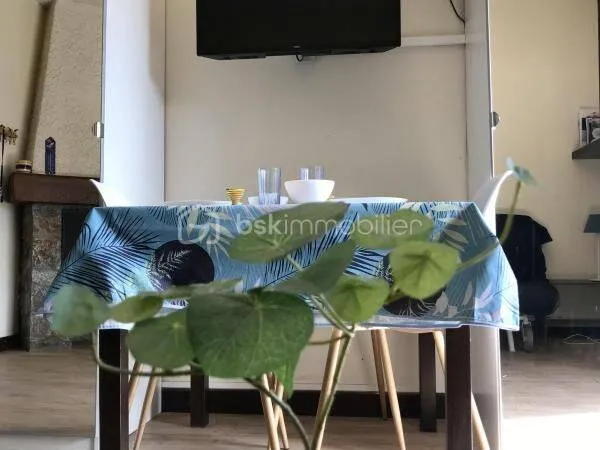 Appartement 1 pièce 26 m²