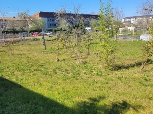 Terrain 398 m²