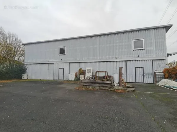 À VENDRE Local d'activités Avoine (37420)