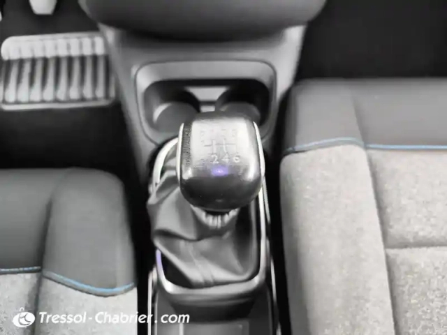 Citroën C4 cactus bluehdi 100 s&amp;s bvm6 shine — photo 24