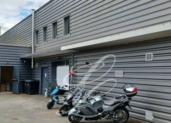 Local commercial 1180 m² BEAUCOUZÉ
