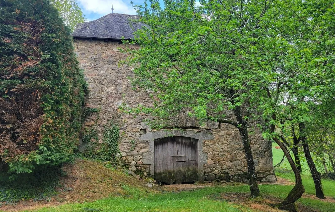 Photo 10