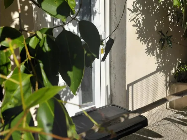 COUP DE COEUR IDÉAL JEUNE COUPLE