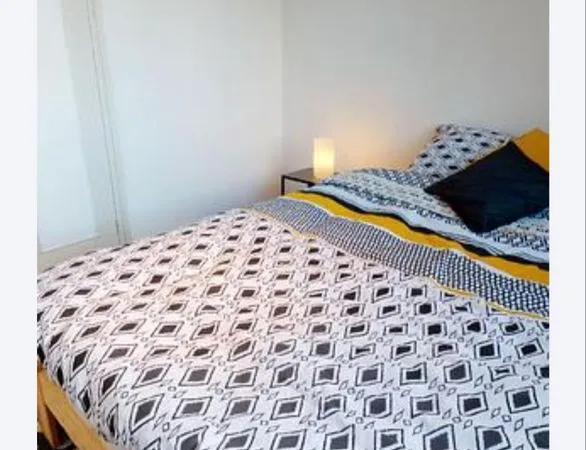 1ch dans colocation 4pers secteur Villeurbanne Cusset