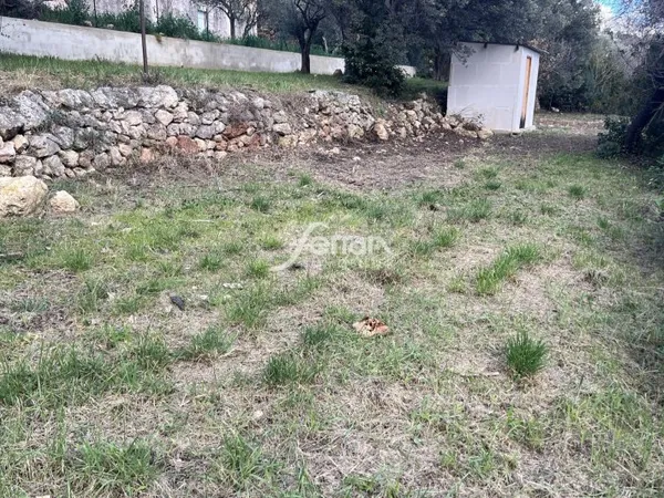 Terrain 1000 m²