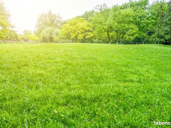 Terrain 526 m² Cangey