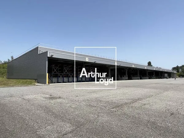 Entrepôt 4280 m²