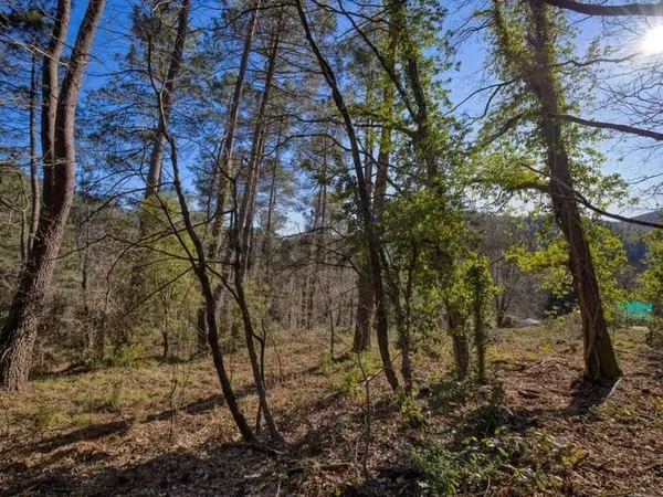 Terrain constructible 1500 m²