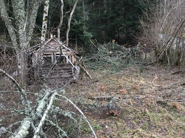 Terrain à Louer (chevaux / ânes ou potager uniquement)