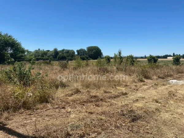 Terrain 301 m²