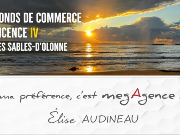 FONDS DE COMMERCE LICENCE IV AUX SABLES D'OLONNE