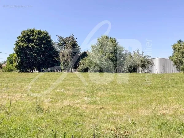 Terrain 602 m²