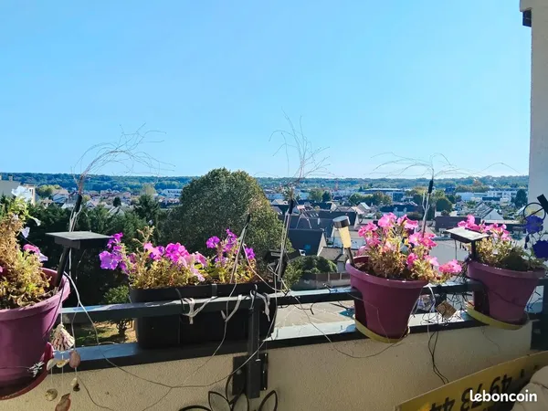 Appartement 3 pieces