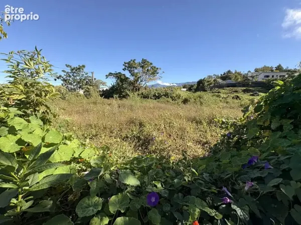 Terrain 380 m²