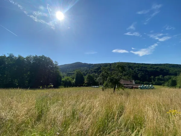 Terrain 4300 m²