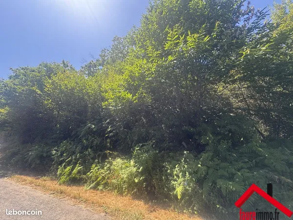 Terrain 3765 m² Vignols
