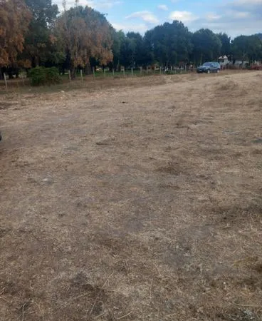 Parcelle terrain