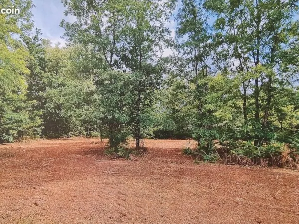 Terrain à bâtir