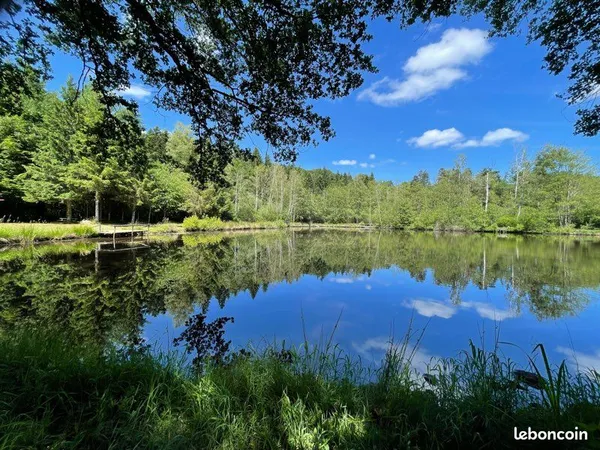 Etang avec forêt