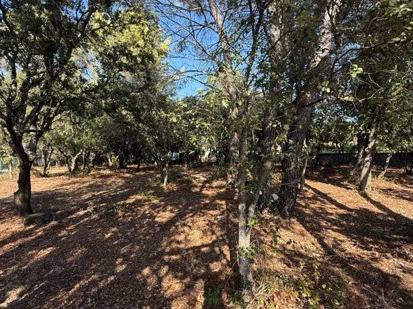 Saint-Didier (Vaucluse):vente d'un terrain constructible (1200m2)