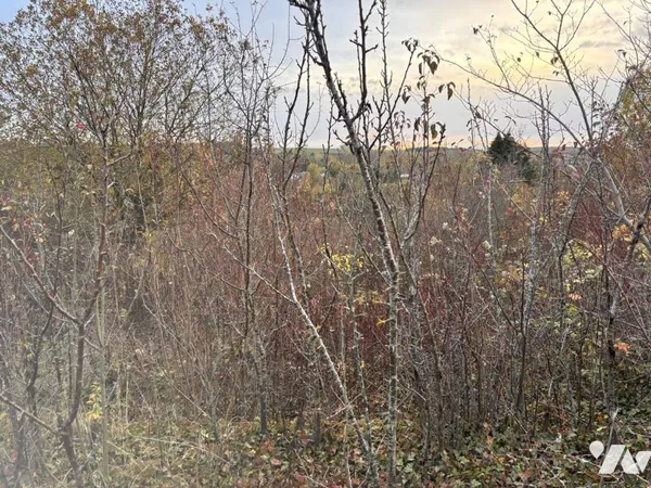 Terrain 5694 m²