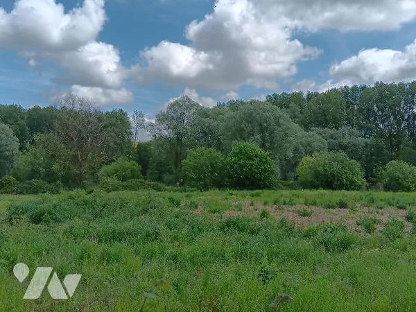 Terrain 1308 m²
