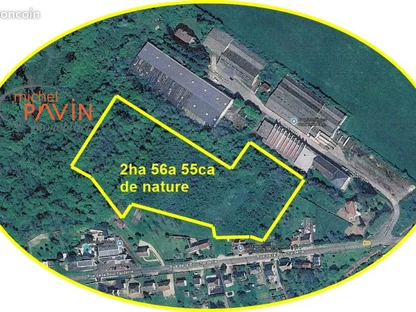 Terrain 25655 m² JOUET SUR L AUBOIS
