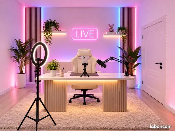 Local / Studio pour Live TikTok Shop - Vandoeuvre Marché de Gros