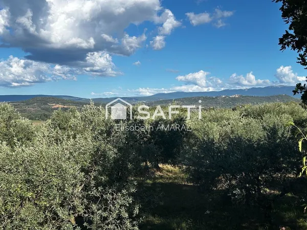 À Oraison, laissez-vous séduire par cette oliveraie et sa magnifique vue sur la vallée de la Durance