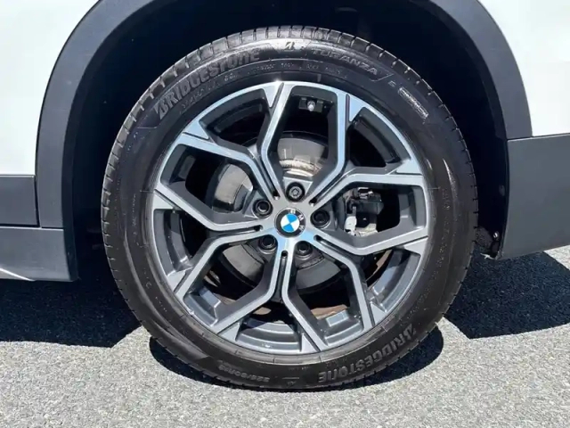 Bmw X1 xdrive 25e 220 ch bva6 — photo 8