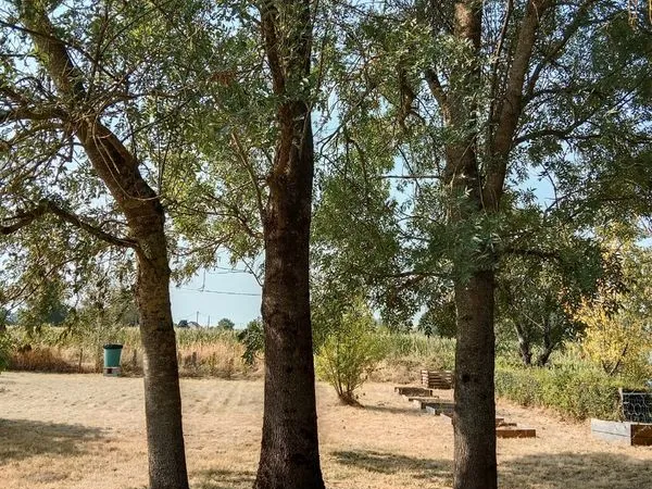 Terrain de loisirs