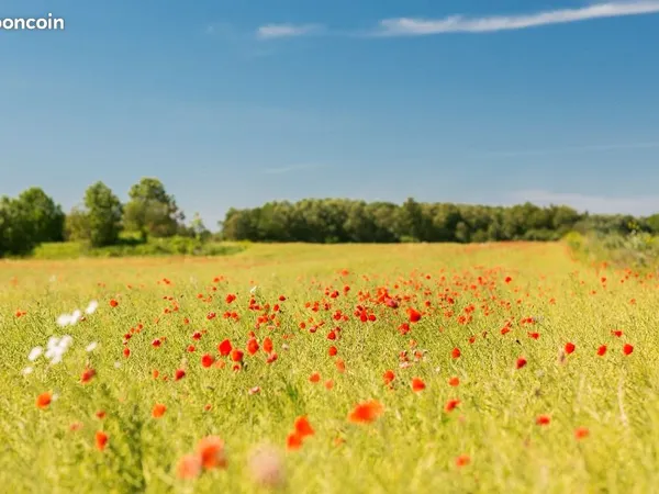 Terrain 733 m² Salaunes